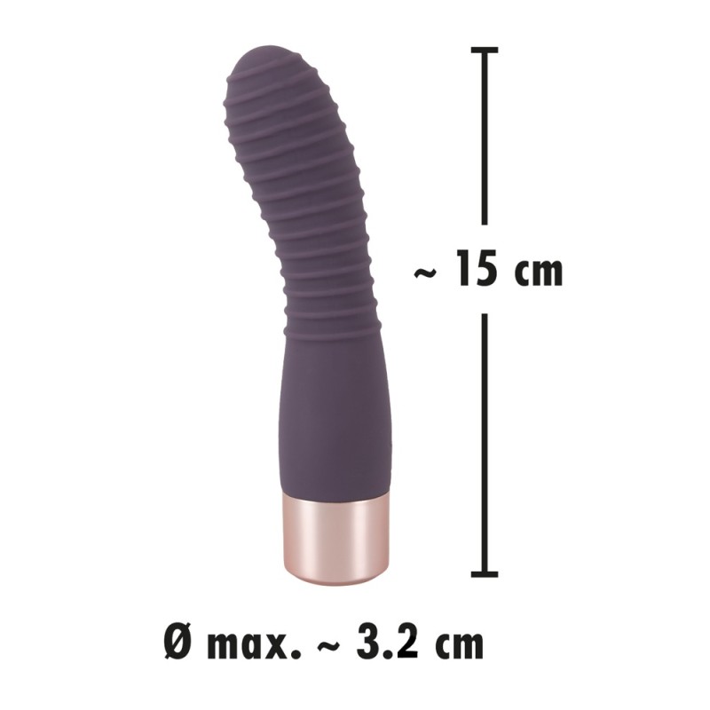 Elegant Vibrator Flexy Vibe